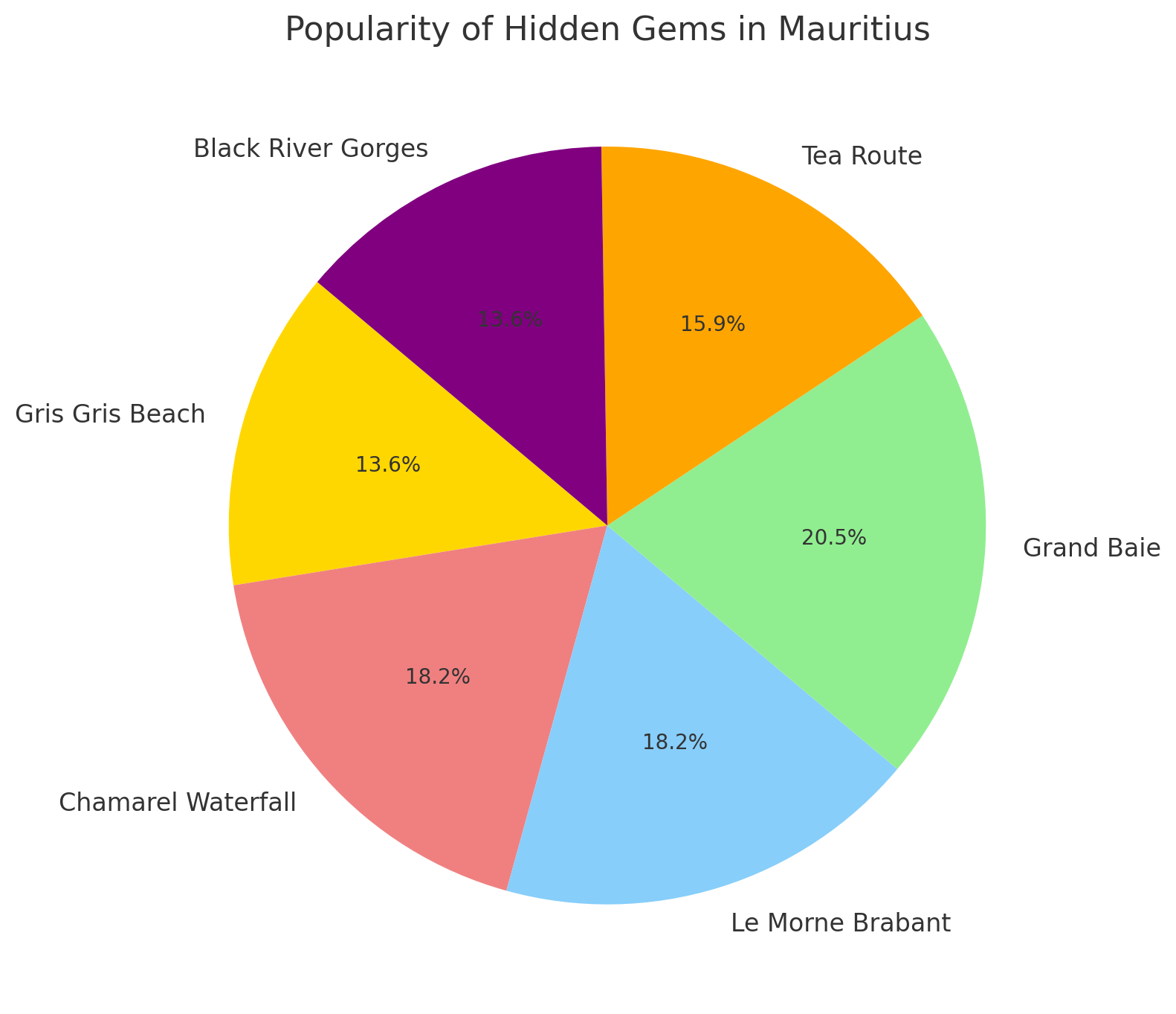 Popularity Pie Chart